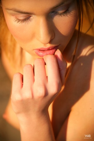 Click to enlarge Click to enlarge