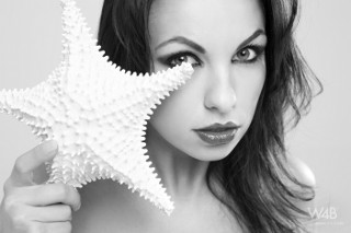 Click to enlarge Click to enlarge