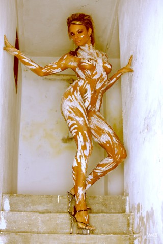 Click to enlarge Click to enlarge