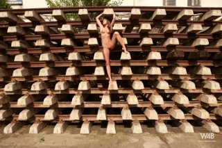 Click to enlarge Click to enlarge