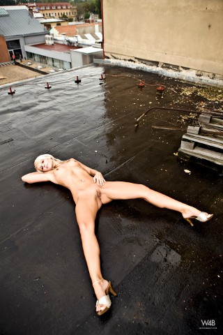 Click to enlarge Click to enlarge