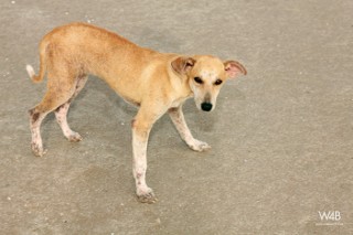 Click to enlarge Click to enlarge