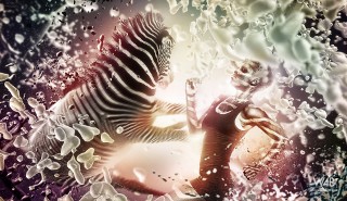 Click to enlarge Click to enlarge