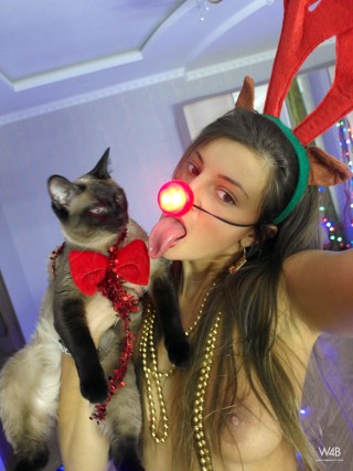 Click to enlarge Click to enlarge