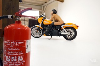 Click to enlarge Click to enlarge