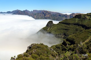 Click to enlarge Click to enlarge