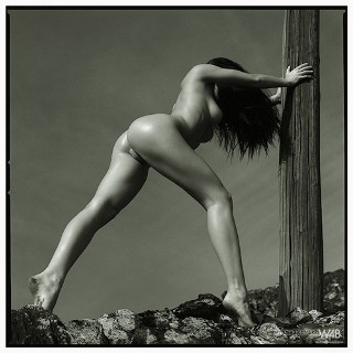 Click to enlarge Click to enlarge