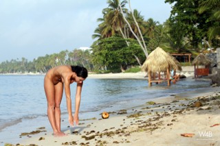 Click to enlarge Click to enlarge