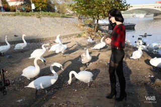 Click to enlarge Click to enlarge