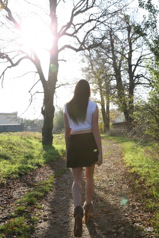 Click to enlarge Click to enlarge