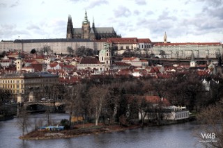 Click to enlarge Click to enlarge