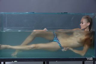 Click to enlarge Click to enlarge