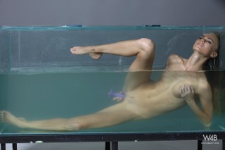 Click to enlarge Click to enlarge