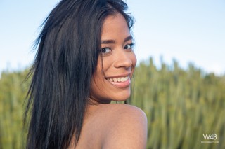 Click to enlarge Click to enlarge