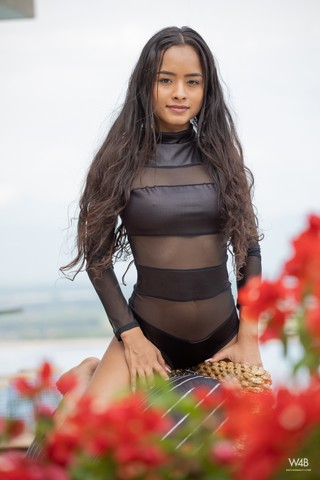 Click to enlarge Click to enlarge