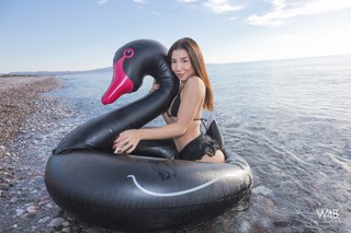 Click to enlarge Click to enlarge