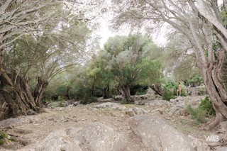 Click to enlarge Click to enlarge